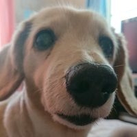 titch0614