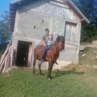 milandjermanovic2