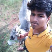 m.jothimani.jd