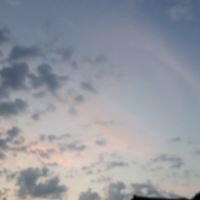 メンヘラ