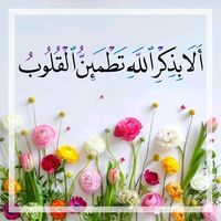 mohebbedine.mahmoud