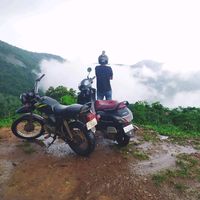 anas_ani