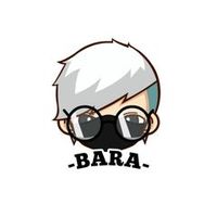 bara080404