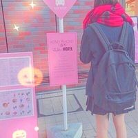 fan_suki