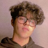 krishvlogs_
