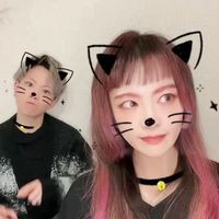 savagegenius_aa