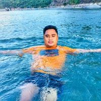 arnelpaulino10