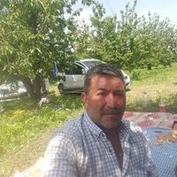 orijinal ses
