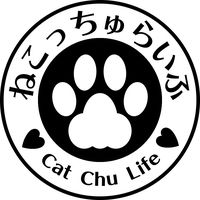 cat_chu_life
