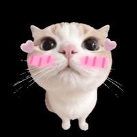 original sound - newTEMPLATE_editforYOU