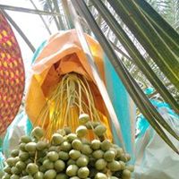 เสียงต้นฉบับ - ธนกร กุญชรสวนอิน