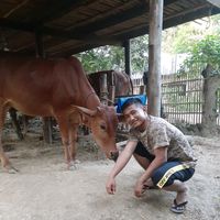 bagyiphyo301293