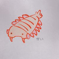 kairekusu3