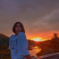 evsfrancisdiauna12