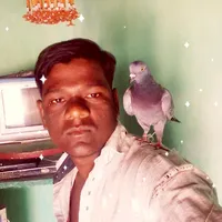 original sound - user5428828