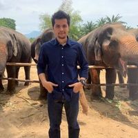 loftsteelkrabi