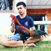 pongsan04