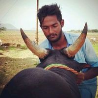 veeramvicky010