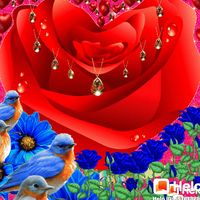 chinnathambi1177