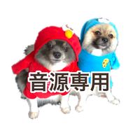犬の香水
