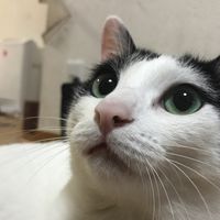プライド革命