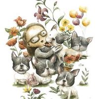 vallenhertansia