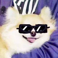 いないいない真っ暗