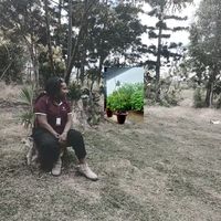 original sound