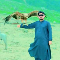 balaksher