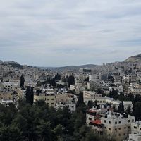 yaqoop4455