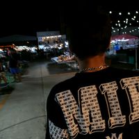 park43569