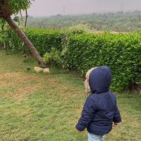 ashjan.aw