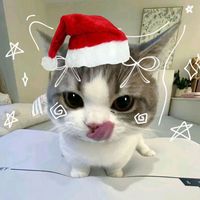 luna_mainsss