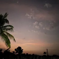 original sound - zohrafathima26