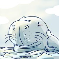 pan32102