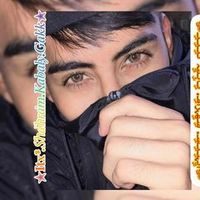 shahpur.habibi