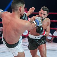 abboudov18
