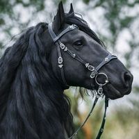 atsevenler1