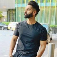 dkmalik203