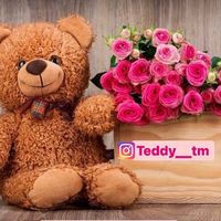 teddy__tm1