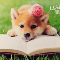 オリジナル楽曲 - 星奈