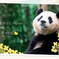 sunshinefu_bao
