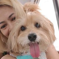 phanitphat246
