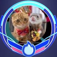 オリジナル楽曲 - あにまるファミリー/6猫2フェレット