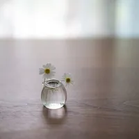 Vì đóa hoa bị lãng quên