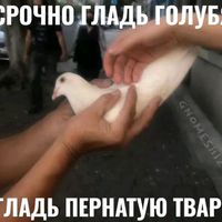 m0rdayks