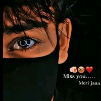 thivi243