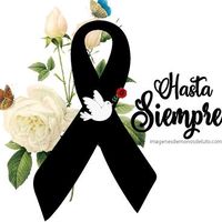 laoficial_ythz