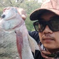 pang_linsing