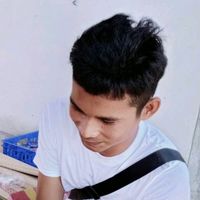 lin_2541